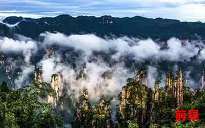 芙蓉山主人最新章节列表、芙蓉山主人最新章节列表大全