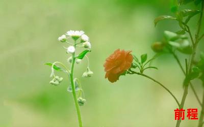 我是一颗小小草最新章节―小小草成长记