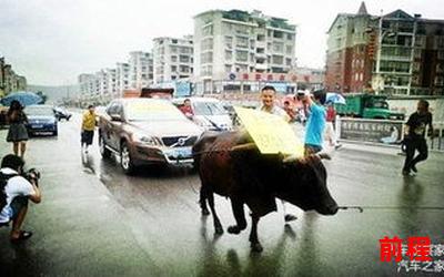 老牛拉破车;老牛拉破车：探寻传统文化中的智慧与力量