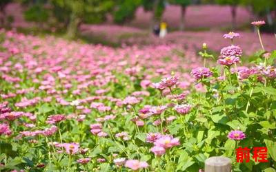 花牛歌、花牛歌：唱响花海之间，传承牛气之美