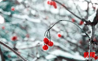 梅花雪最新章节―《冬日寒梅，飘雪纷纷》