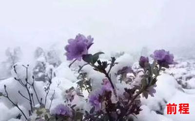 雪花那个飘免费阅读―《飘雪花，畅享阅读乐趣》