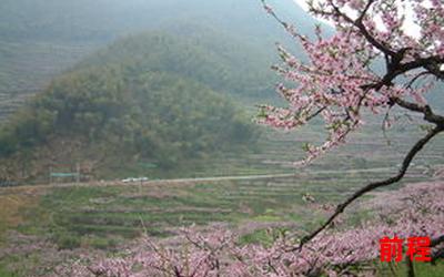 山柳村的桃花盛开、桃花盛开，山柳村春意浓