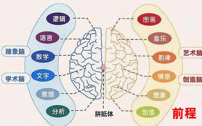 三分野_三分野：科学、文学、艺术的交汇之地